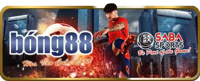 Cải thiện trải nghiệm người dùng và tối ưu hóa website 23win01